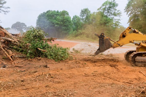 Ground Clearing in Oconomowoc