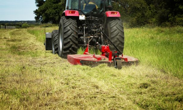 Brush Clearing Service in Oconomowoc