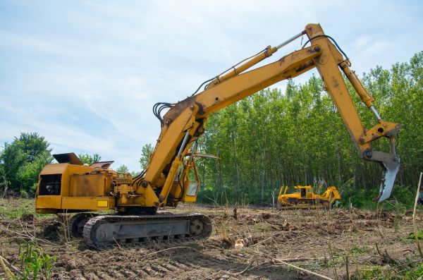 Farm Clearing in Oconomowoc