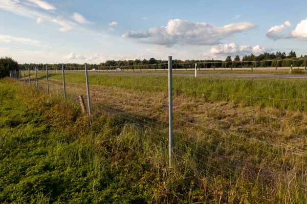 Property Line Clearing Service