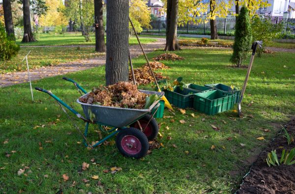 Vegetation Clearing Service