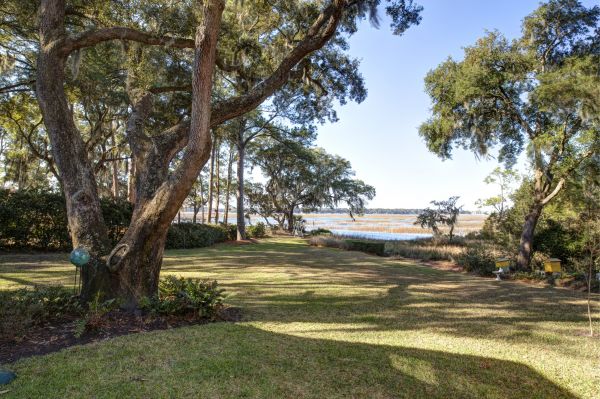 Lakefront Property Clearing Service