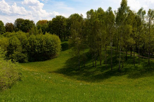 Hilltop Clearing