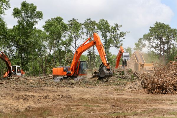 Commercial Lot Clearing in Oconomowoc