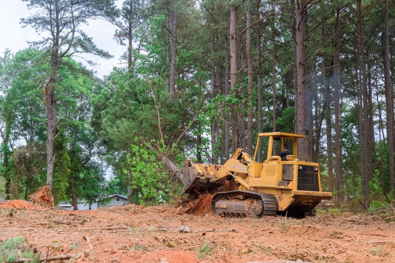 Land Clearing Machinery at Work