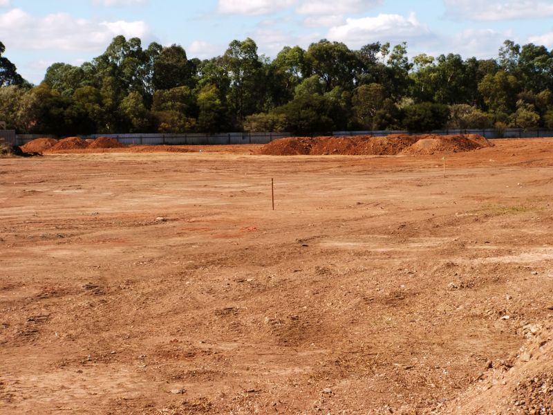 Recreational Area Development