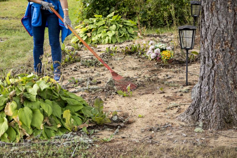 Custom Land Clearing Solutions